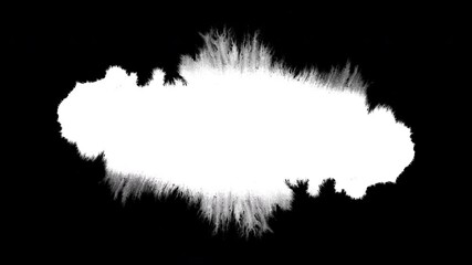 Black ink artistic down top flow splatter spots spills white paper beautiful reveal dripping streaks spread fluid ink alpha matte isolated watercolor ink drops transition	
