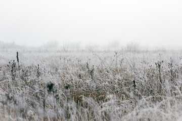 Wiese an einem kalten Wintertag