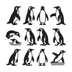 penguin, bird, animal, vector, ice, winter, 