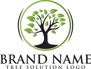 Obraz premium plant and grow with green leaf on the white background. Save our tree