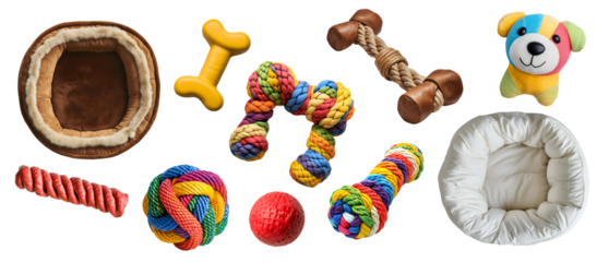 Collection set of fluffy pet bed and individual toys accessories for animal cat, dog on transparent cutout PNG. Many different chew play ball teething toy. Mockup template for design