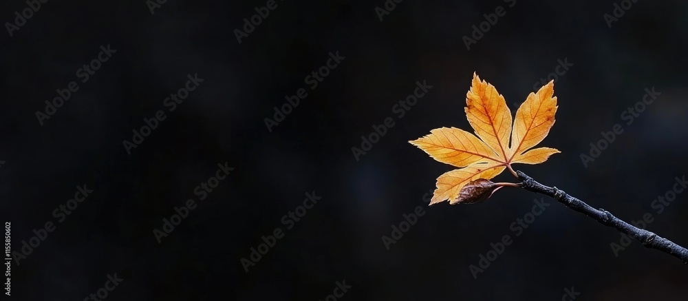 Poster golden autumn maple leaf on branch with dark background and empty space for custom text or promotion