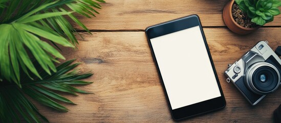Overhead view of smartphone and camera on wooden table with space for text and plant creating a cozy home atmosphere