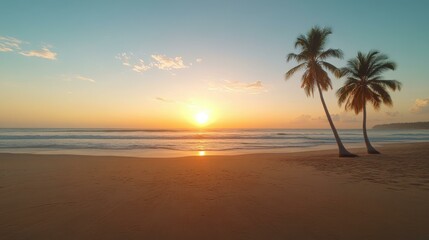 beachside coconut trees sri lanka