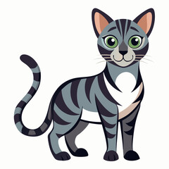 cat vector illustration