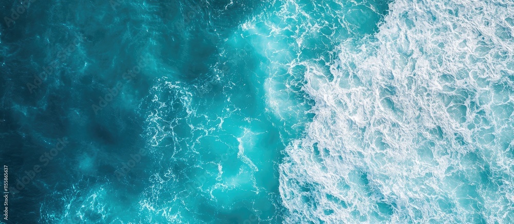 Poster aerial view of dolphins swimming in turquoise ocean showcasing migration patterns with space for tex