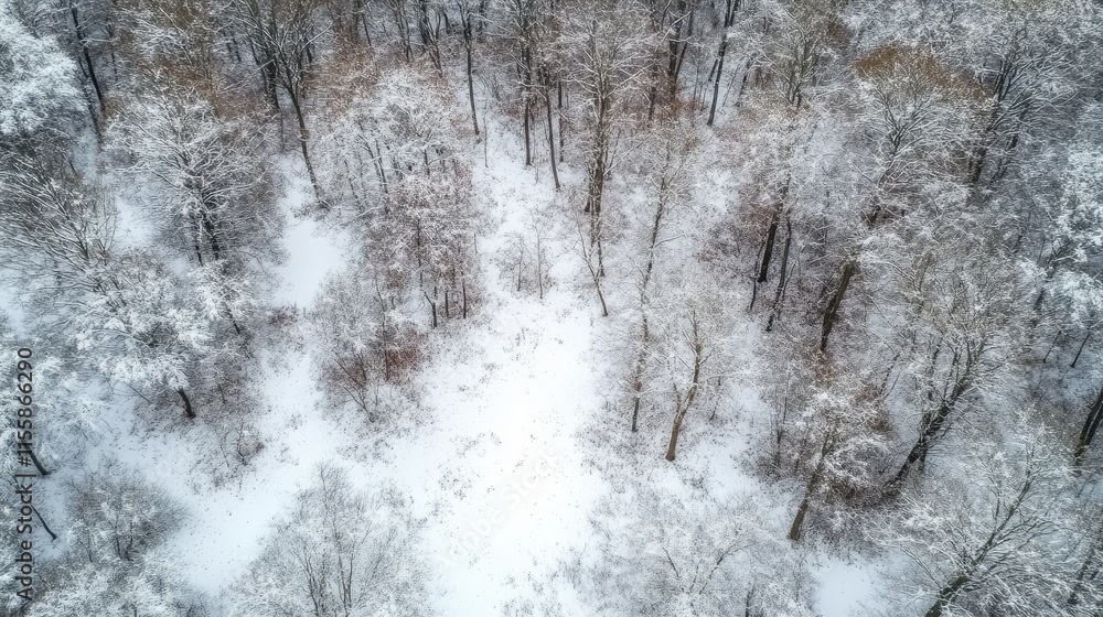 Poster aerial view of a serene winter forest blanketed in snow with ample space for text placement and natu
