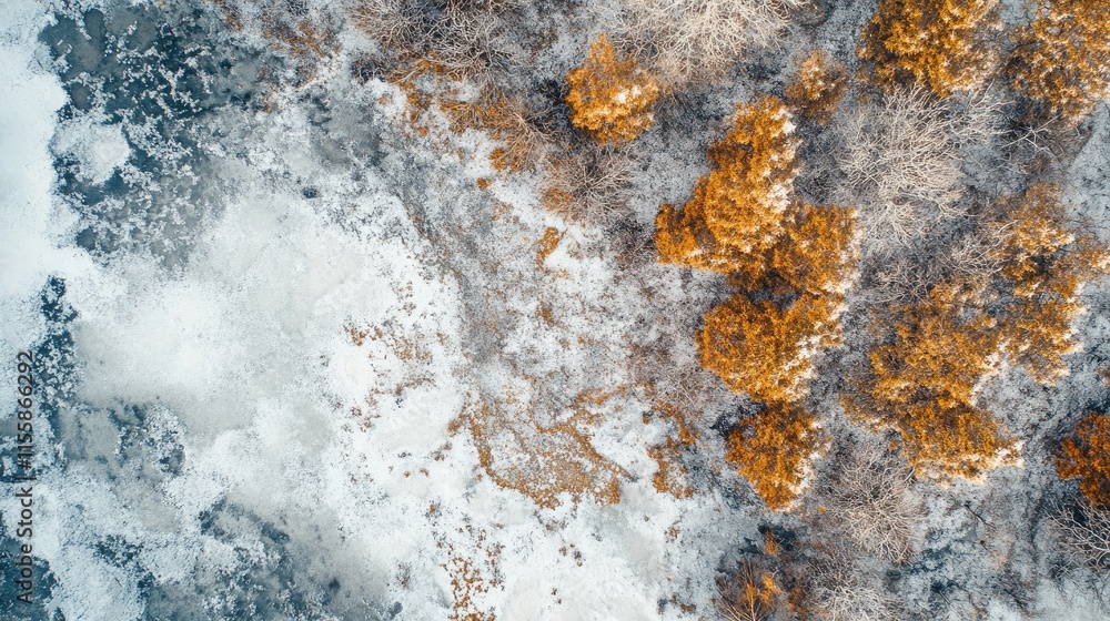 Aufkleber aerial view of serene winter forest landscape with snow-covered terrain and vibrant trees creating a