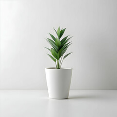 A simple, elegant minimalist plant
