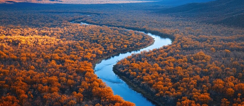Aerial view of a winding creek surrounded by vibrant autumn foliage and blue mountains offering spacious text area for ads or captions