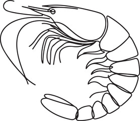 Shrimp Illustration in Minimalist Line Art Perfect for Modern Designs