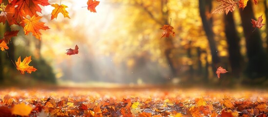 Autumn park scene with vibrant fallen leaves creating a serene atmosphere and ample space for text or overlay designs