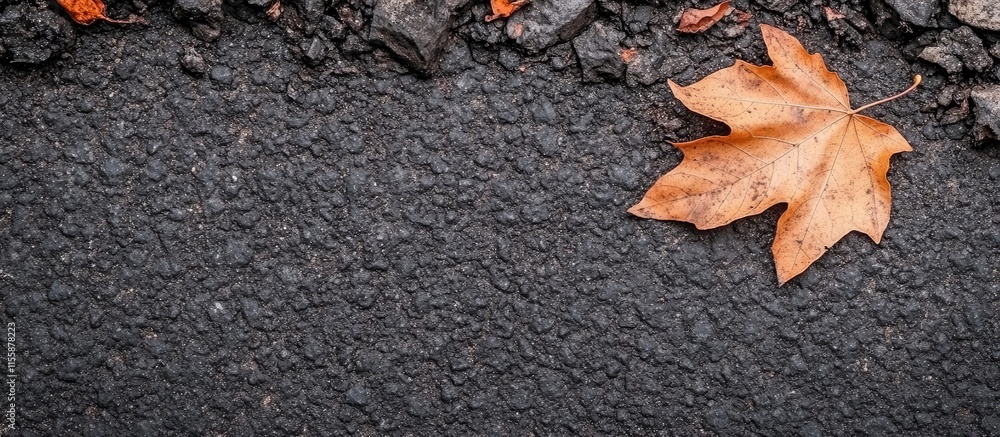 Poster autumn maple leaves on asphalt creating a warm seasonal scene with ample space for text in a dry env