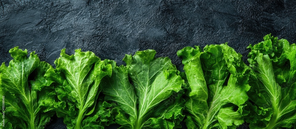 Aufkleber fresh green lettuce leaves arranged on a dark textured background with ample space for text or capti
