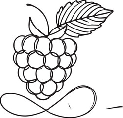 Raspberry Line Drawing Illustration Clean Minimalist Design