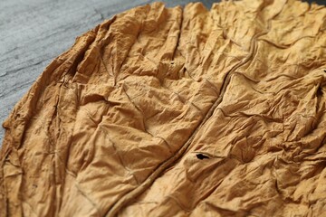 Dried tobacco leaf on table, closeup view