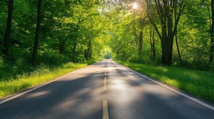 Obraz premium High-Quality Beautiful Natural Road Scenery Photography Showcasing Stunning Outdoor Views and Picturesque Landscapes