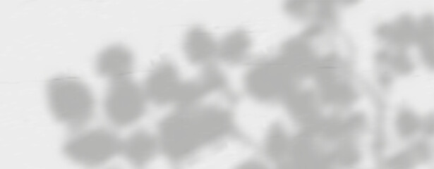 Glare from the sun's rays on the wall. Blurred shadows from leaves and plants in the room. Soft overlay of natural light. 