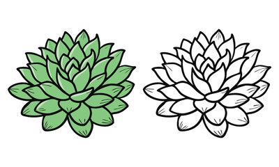 Succulent Plant Icons in Green and Outline, Vector illustrations of a succulent plant with detailed leaves, presented in a vibrant green version and a black-and-white outline design.
