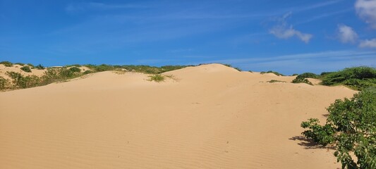 Naturaleza sin humedad