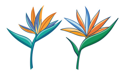 Colorful Bird of Paradise Flower Illustrations, Vector illustrations of two vibrant bird of paradise flowers with detailed orange, blue, and green elements, perfect for tropical designs.
