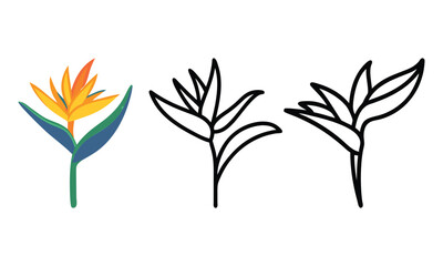 Bird of Paradise Flower Icons and Outline, Colorful vector illustration of a bird of paradise flower alongside minimalist black and white outline versions for design use.
