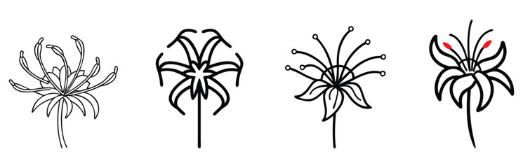 Spider Lily Outline Set with Intricate Designs, Vector illustration of four spider lily flowers featuring detailed black-and-white outlines and subtle red accents, perfect for artistic and decorative 