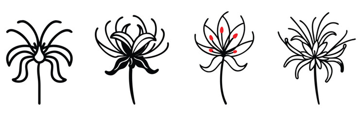 Spider Lily Flower Outlines with Stylized Designs, Vector illustration set of four spider lily flowers featuring intricate black-and-white outline designs and subtle red accents for creative projects.