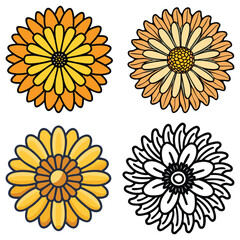 Vibrant daisy flower illustrations and outline designs, A set of four daisy flower illustrations in yellow and orange tones, featuring intricate petal designs and one black-and-white outline version.
