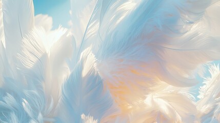 Soft feathers in baroque style painting dreamy sky artistic imagery ethereal environment close-up view serenity concept