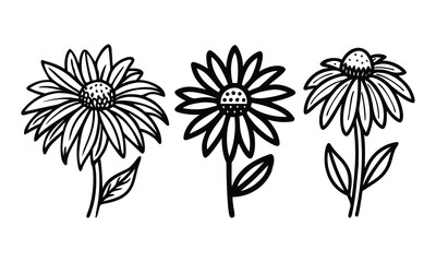 Black-and-white daisy flower line art trio, A set of three daisy flower illustrations in black-and-white line art, featuring detailed petals, leaves, and clean, symmetrical designs.
