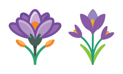 Stylized purple crocus flower designs, Two stylized crocus illustrations featuring vibrant purple petals, orange accents, and green leaves, highlighting a fresh and cheerful spring aesthetic.
