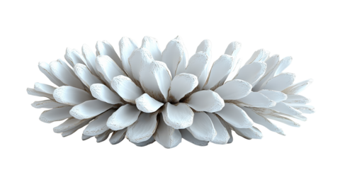  White petaled flower with intricate overlapping design on white background. Elegant and minimal floral arrangement, highlighting symmetry and purity in nature.