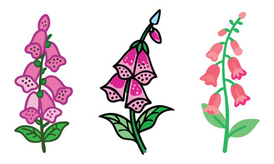 Colorful illustrations of foxglove flowers, Three vibrant foxglove flower illustrations with bell-shaped blooms in pink hues, detailed patterns, and green leaves for a decorative touch.
