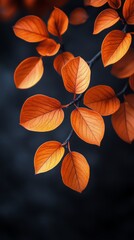 Vibrant orange leaves cascading over dark textured stone background in autumn setting