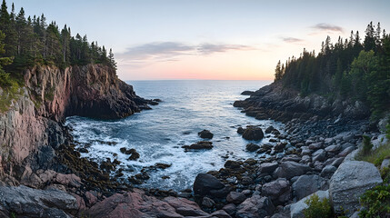 Sunrise over rocky coast with pine trees