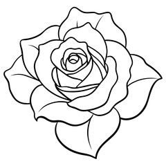 A detailed, line art illustration of a single rose.