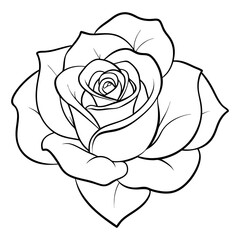 A detailed, line art illustration of a single rose.