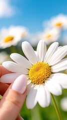 Fototapeta premium A person holding a white flower in their hand