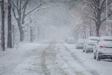 Cityscape during heavy Snowfall - Streets, Cars and Street Trees covered in Snow; Copy Space