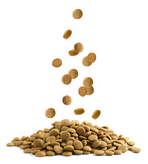 Dry pet food falling onto heap on white background