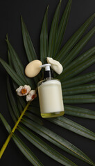 Top view cosmetic cream and lotion on palm leaf on black background. SPA organic beauty product concept, photo, with white tones