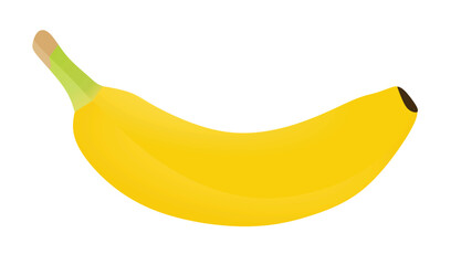 Bananas on white background, vector