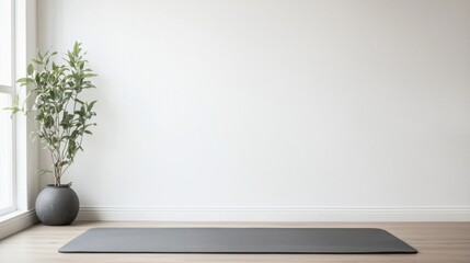 Serene minimalist space with yoga mat and plant for calm meditation practice