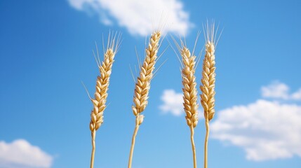 Spring crop planning with satellite imagery: innovations in agriculture and sustainability