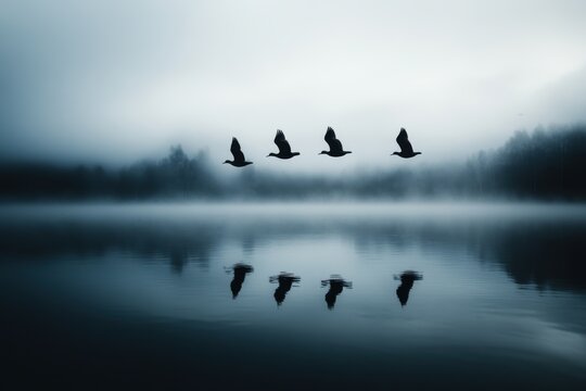 wetland ecology, migratory birds flying over wetlands are showcasing interconnected ecosystems for world wildlife day