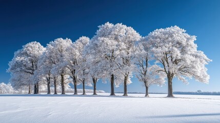 A serene winter landscape featuring snow-covered trees and a clear blue sky, creating a tranquil and picturesque scene.