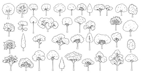 Top view and side view, set of graphics trees elements outline symbol for architecture and landscape design drawing. Vector illustration