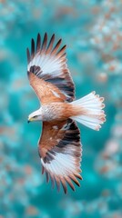 Obraz premium A bird flying through the air with its wings spread