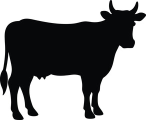silhouette of a cow